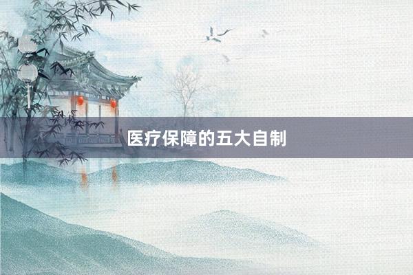 医疗保障的五大自制
