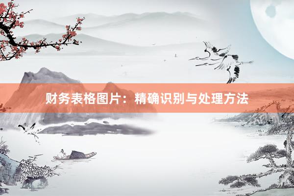 财务表格图片：精确识别与处理方法